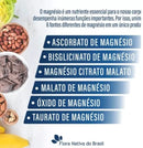 6-Magnesios, 60 cápsulas, Flora nativa