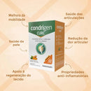 CONDRIGEN CURC COLáGENO TIPO 2 + CúRCUMA E ÁCIDO HIALURôNICO 60 CáPS MAXINUTRI