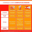 Anador 1G 10 comprimidos